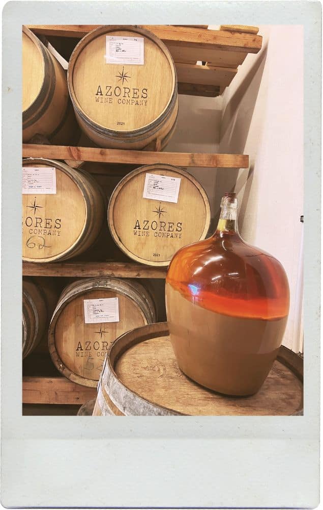 Uncovering the Best Wine Experiences in Pico, Azores