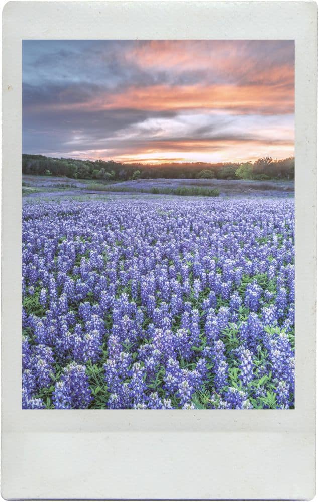 Austin’s Scenic Outdoors: 38 Must-Visit Adventures