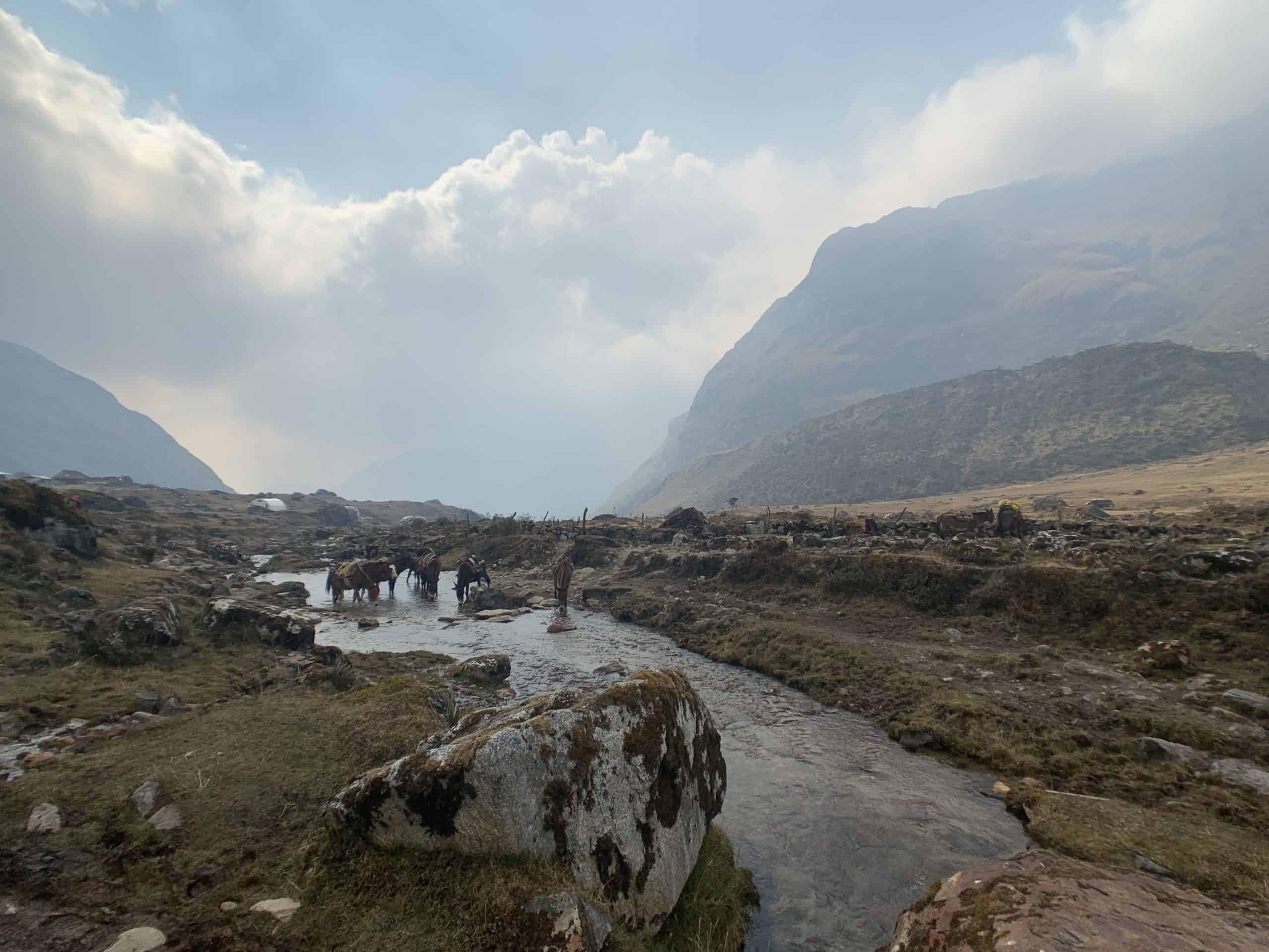 salkantay peru