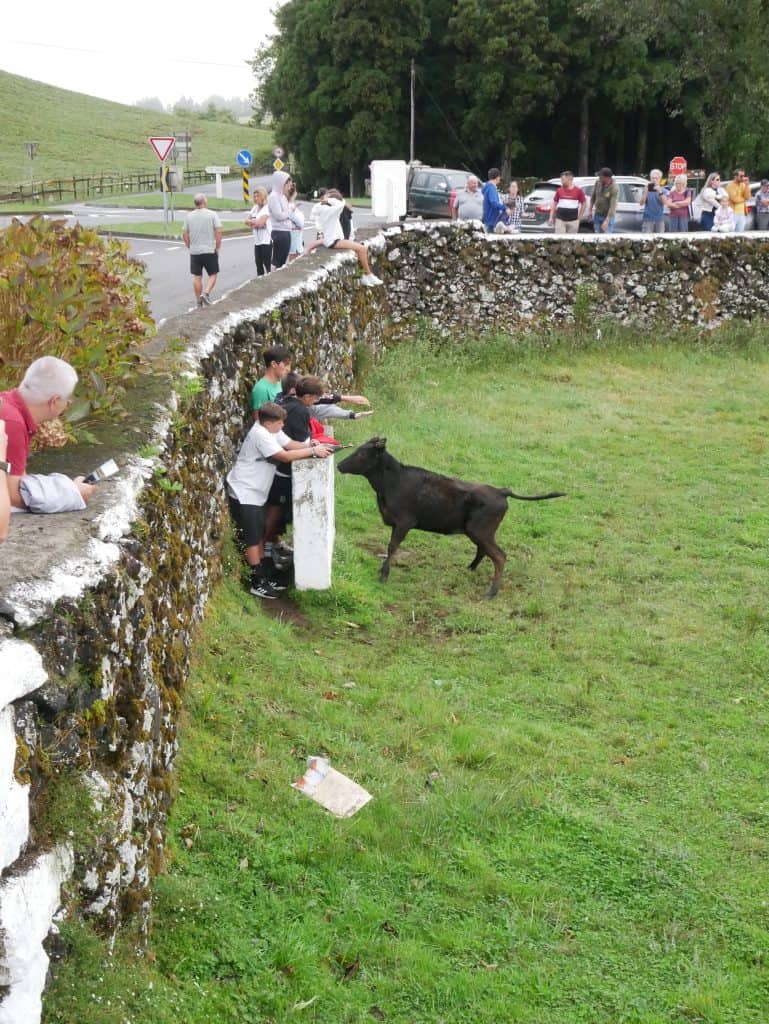 terceira azores