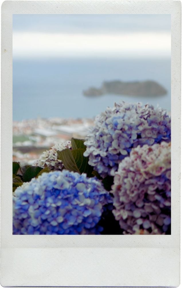 The Azores: Island Hopping Across Five Enchanting Islands
