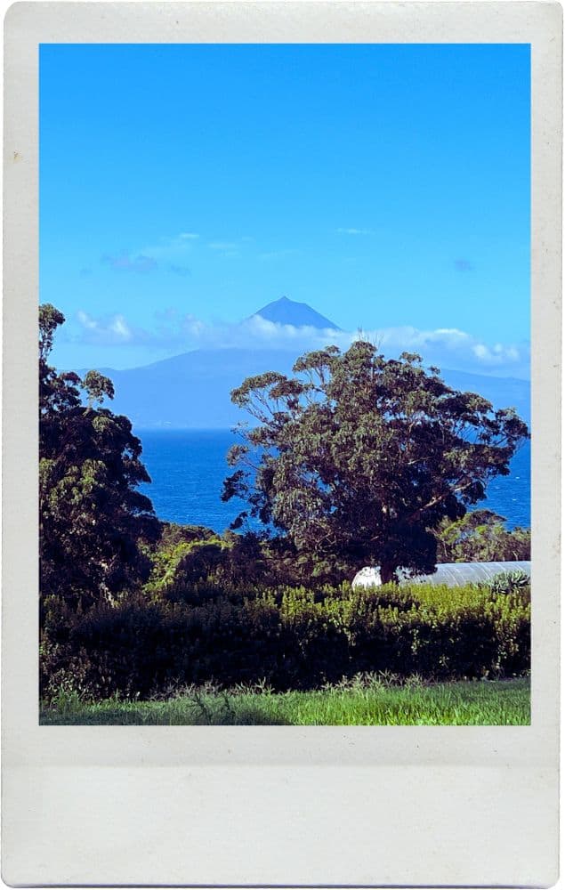 Sao Jorge Azores: A Unique Island Experience
