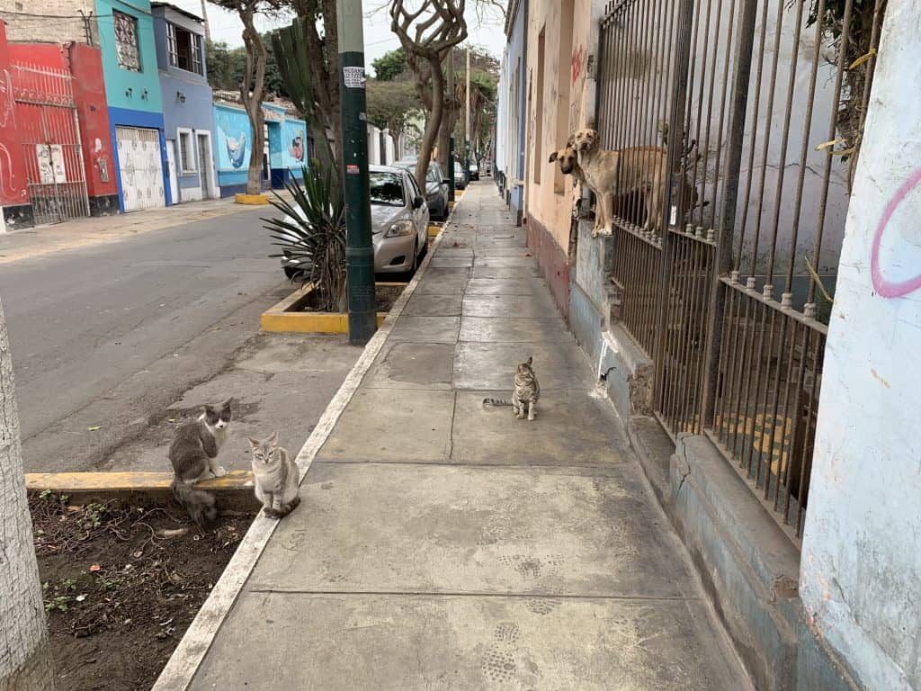 lima peru