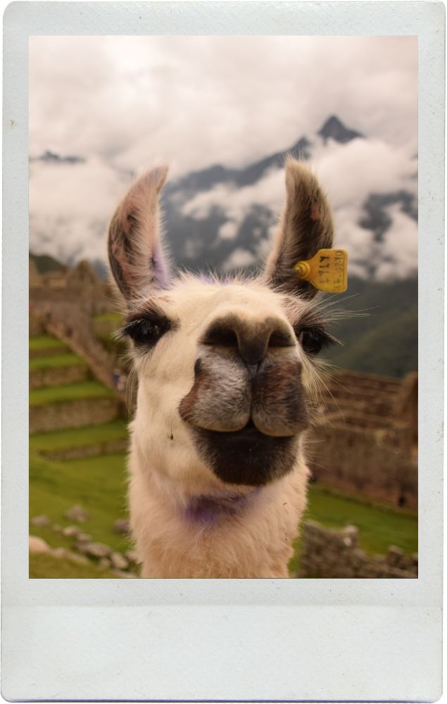 Peru Travel Guide: 26 Unforgettable Things to Do