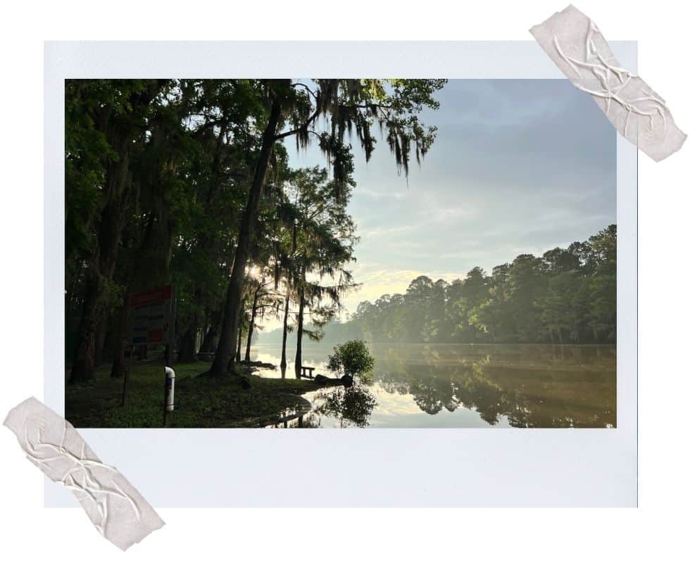 caddo lake