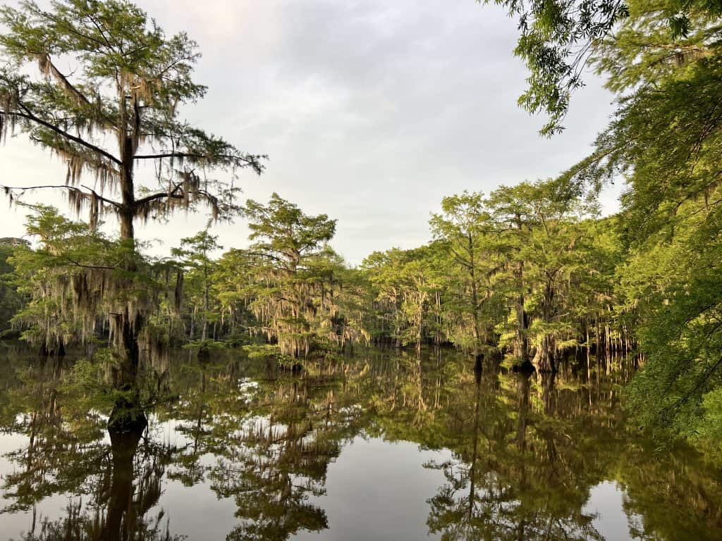 caddo lake