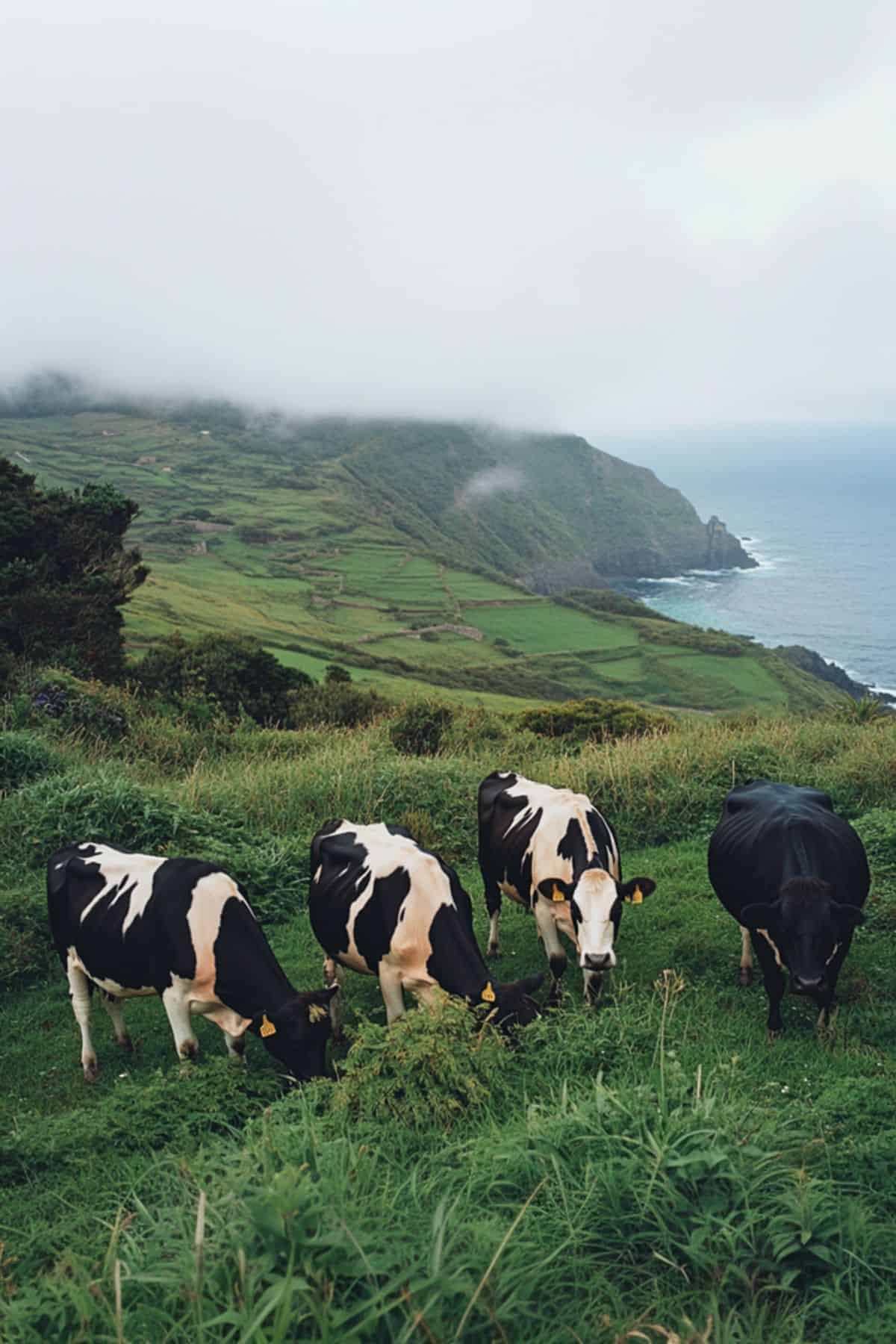 what is azores known for
