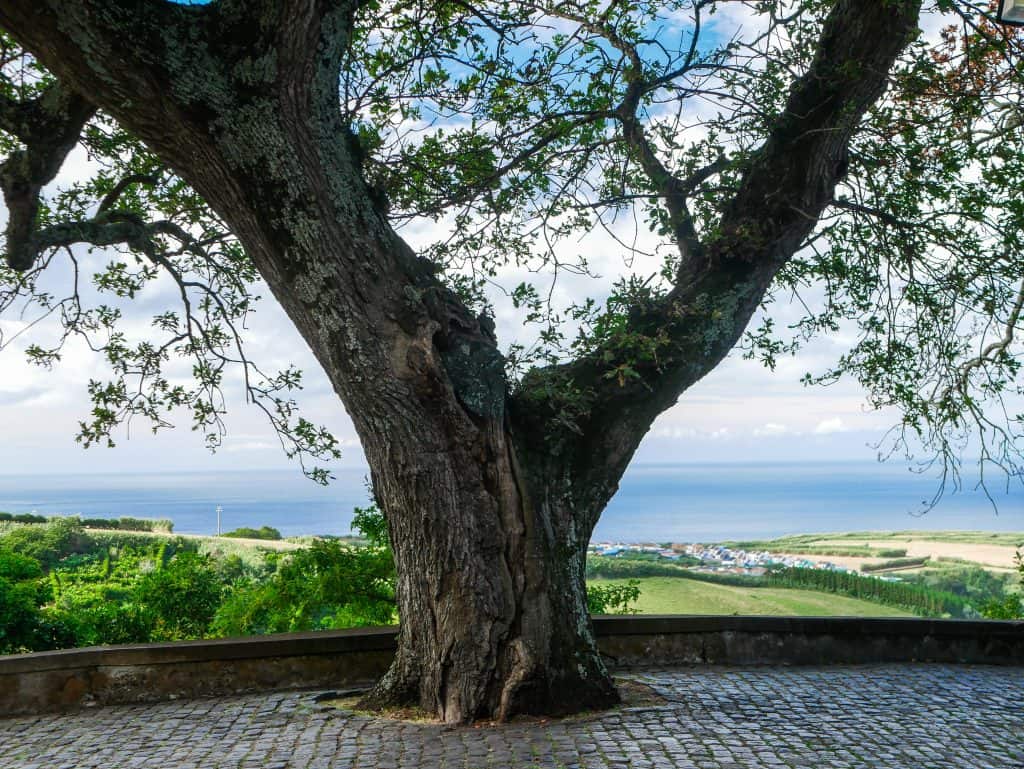 Sao Miguel Azores
