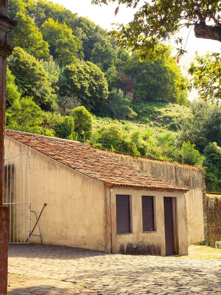 Sao Miguel Azores